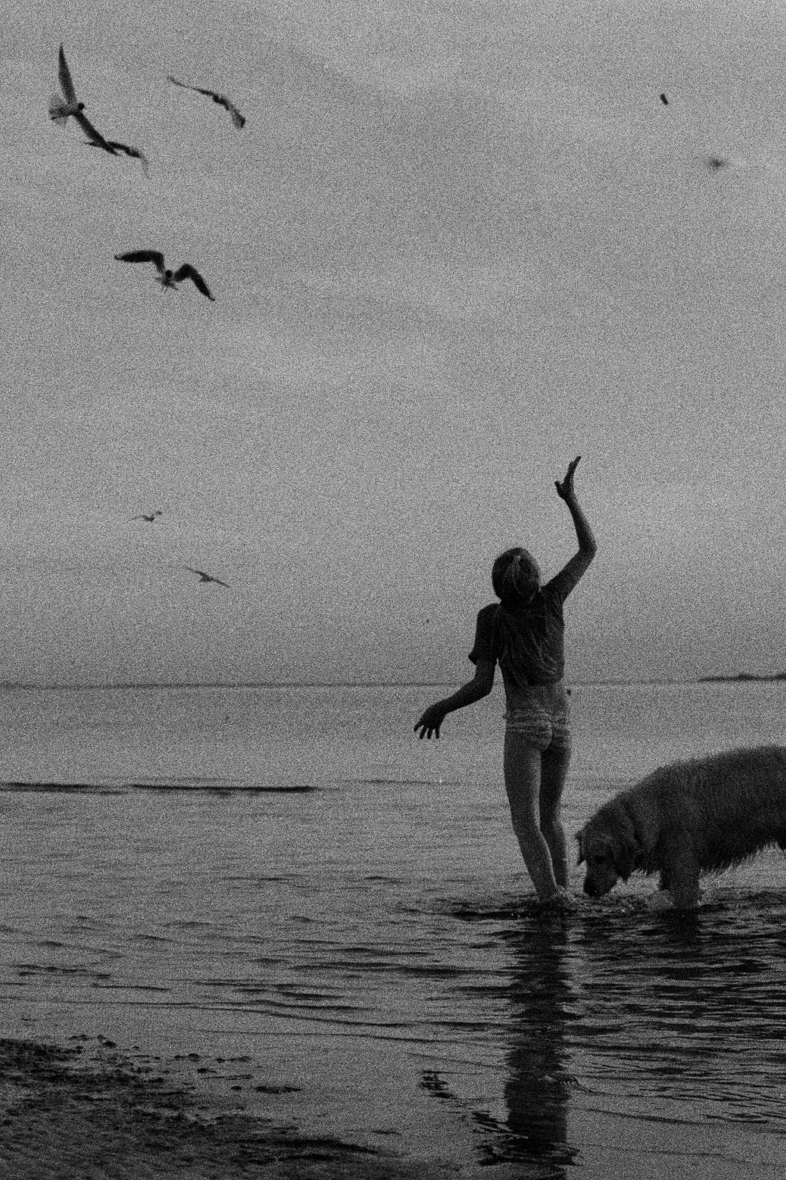 Meaning & Purpose Exploration